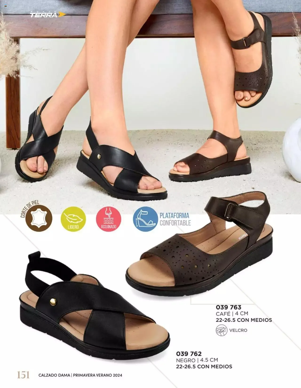 Catálogo de Mundo Terra catálogo 1 de enero al 31 de diciembre 2024 - Pagina 154