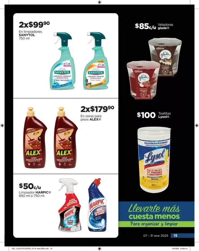 Catálogo de Llevarte más cuesta menos 8 de enero al 31 de enero 2025 - Pagina 15