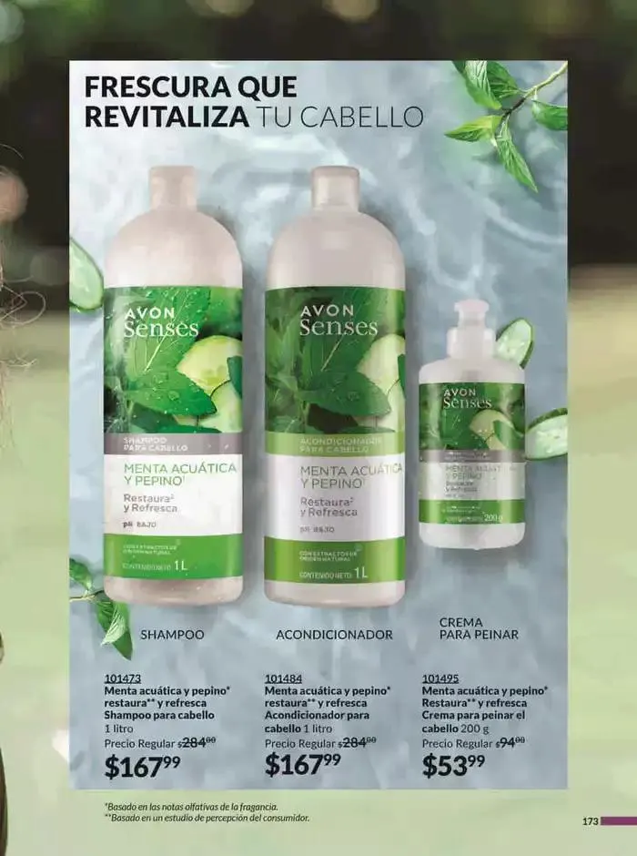 Catálogo de Avon COSMÉTICOS C5 6 de febrero al 31 de diciembre 2025 - Pagina 173