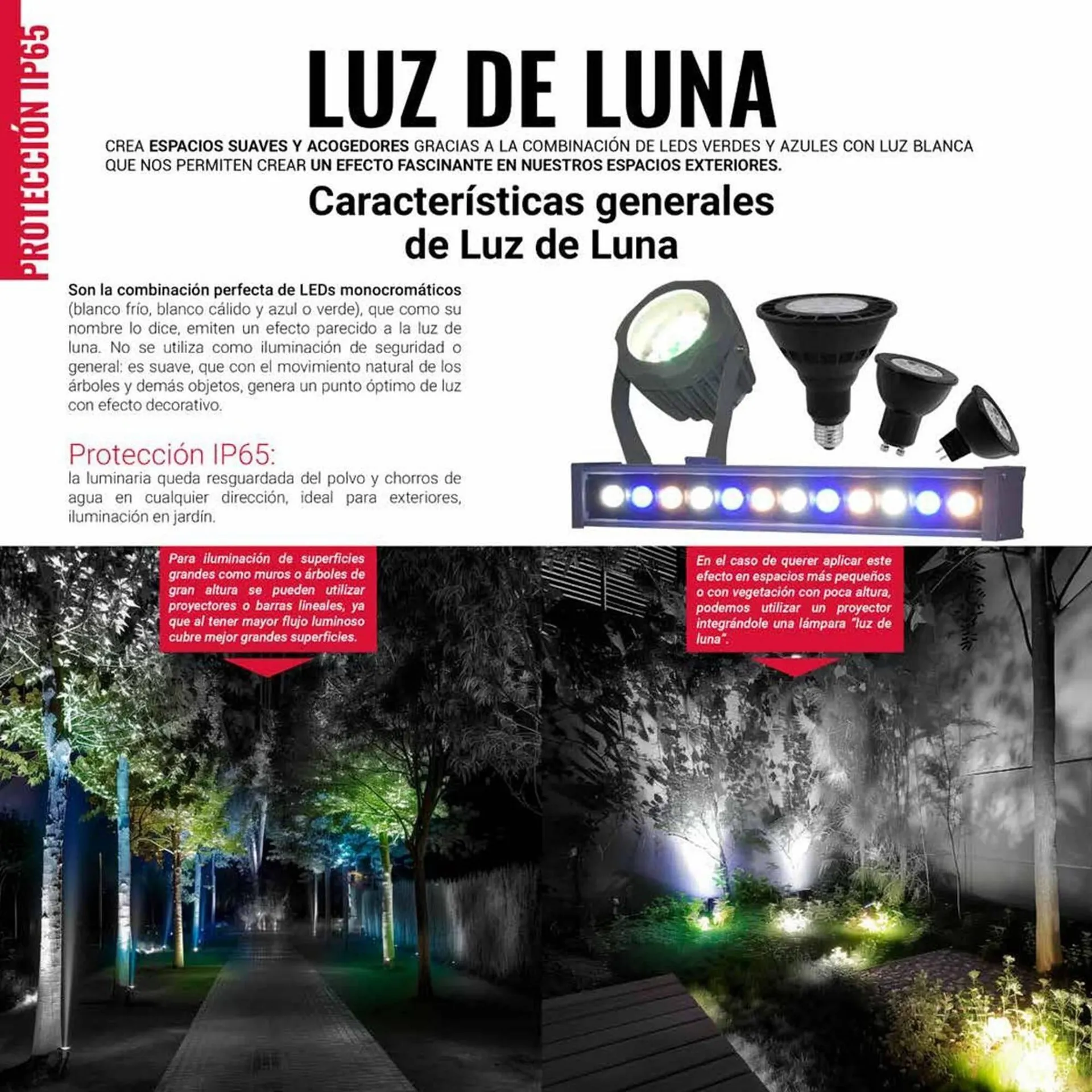 Catálogo de Catálogo Tecnolite 27 de junio al 31 de diciembre 2025 - Pagina 83