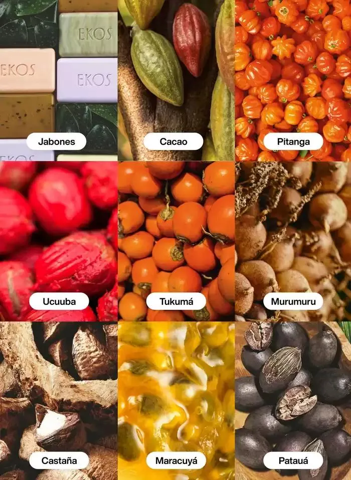 Catálogo de Ciclo 06 1 de junio al 30 de junio 2025 - Pagina 122