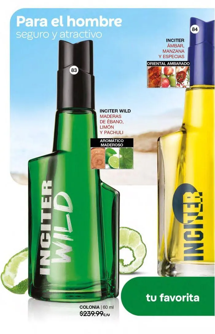 Catálogo de Fuller CAMPAÑA 09 8 de agosto al 27 de agosto 2024 - Pagina 101