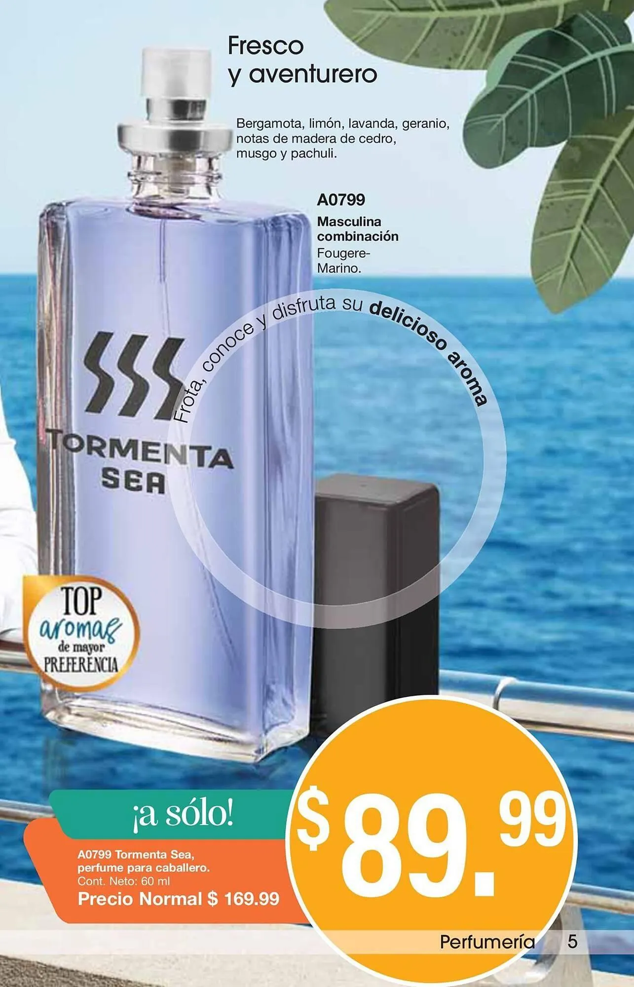 Catálogo de Catálogo Arabela 5 de junio al 26 de junio 2025 - Pagina 7