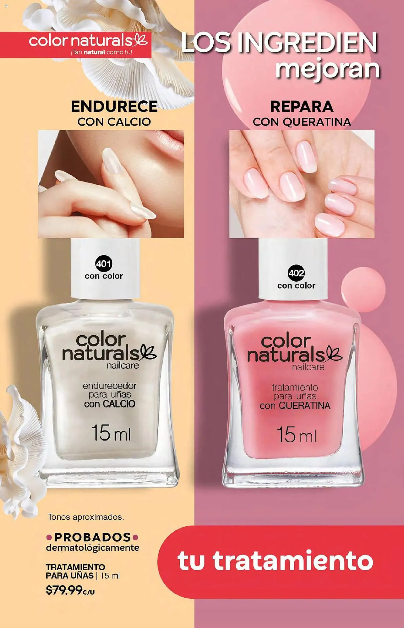 Catálogo de Catálogo Fuller 21 de enero al 10 de febrero 2026 - Pagina 140