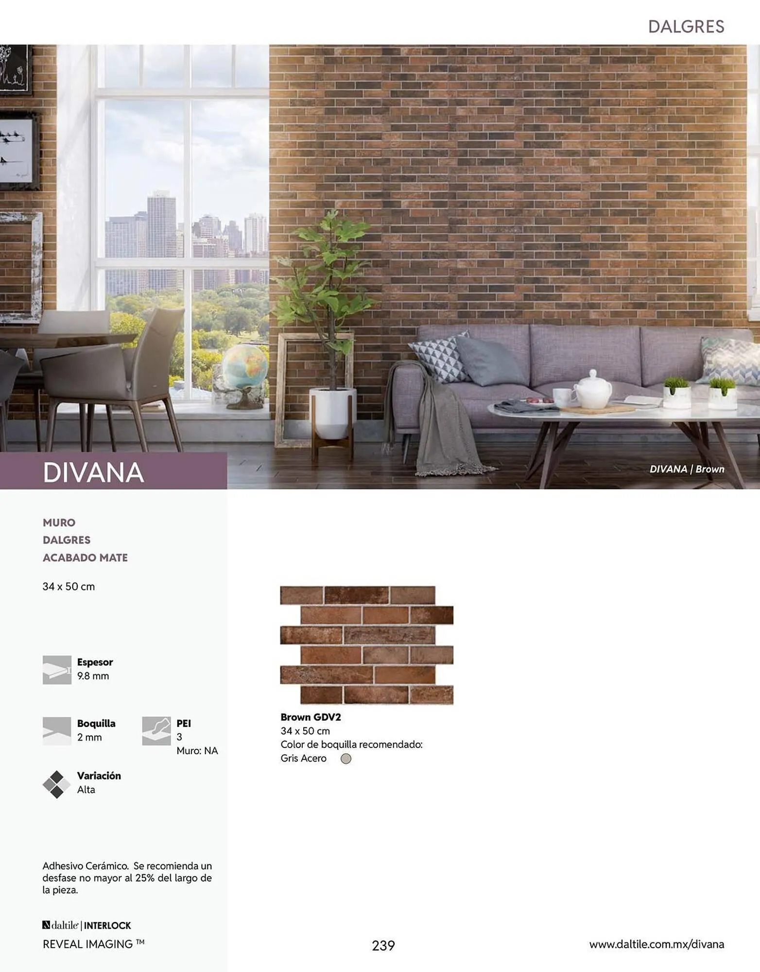 Catálogo de Catálogo Daltile 13 de enero al 31 de diciembre 2026 - Pagina 239
