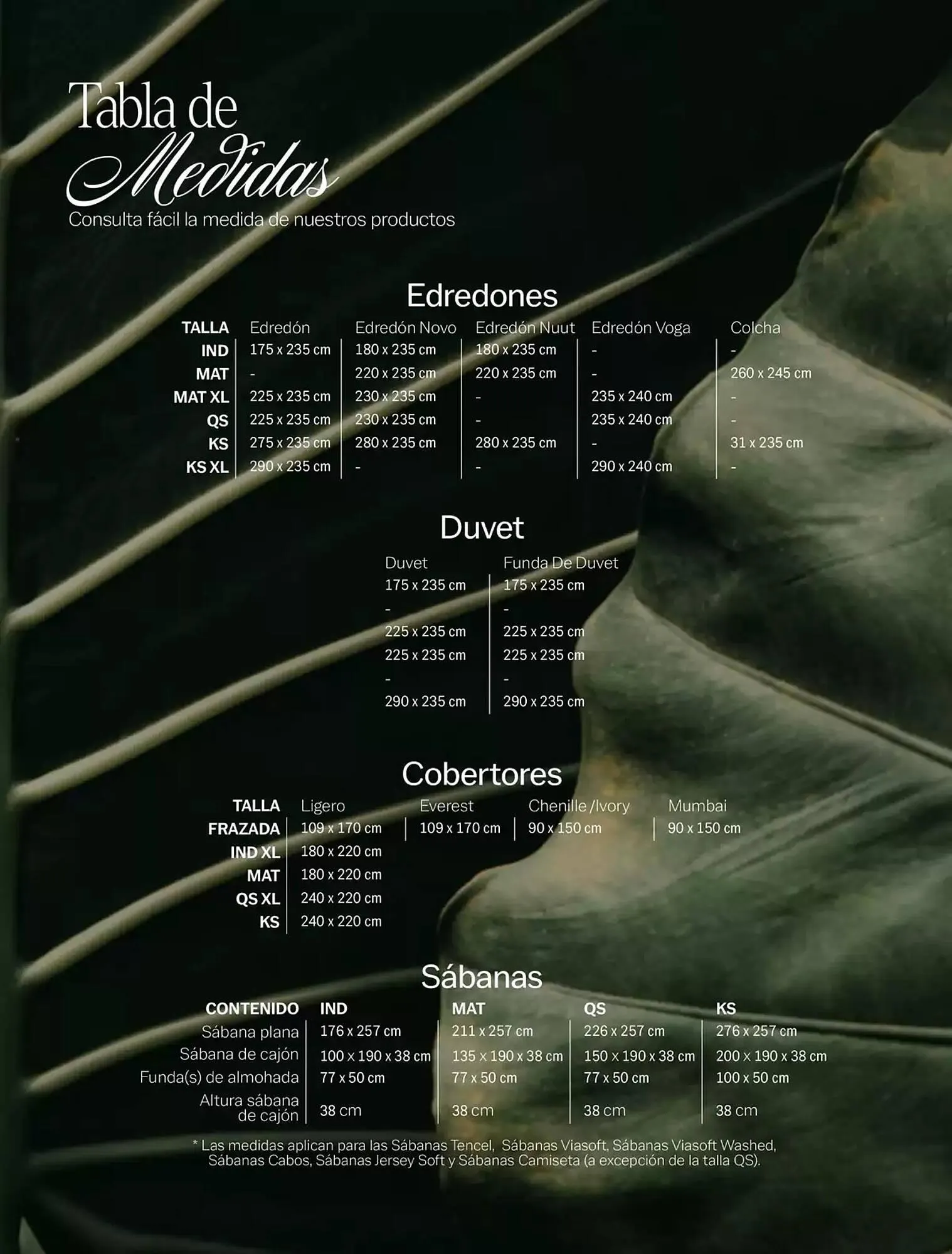 Catálogo de Catálogo Vianney 11 de abril al 31 de diciembre 2025 - Pagina 262