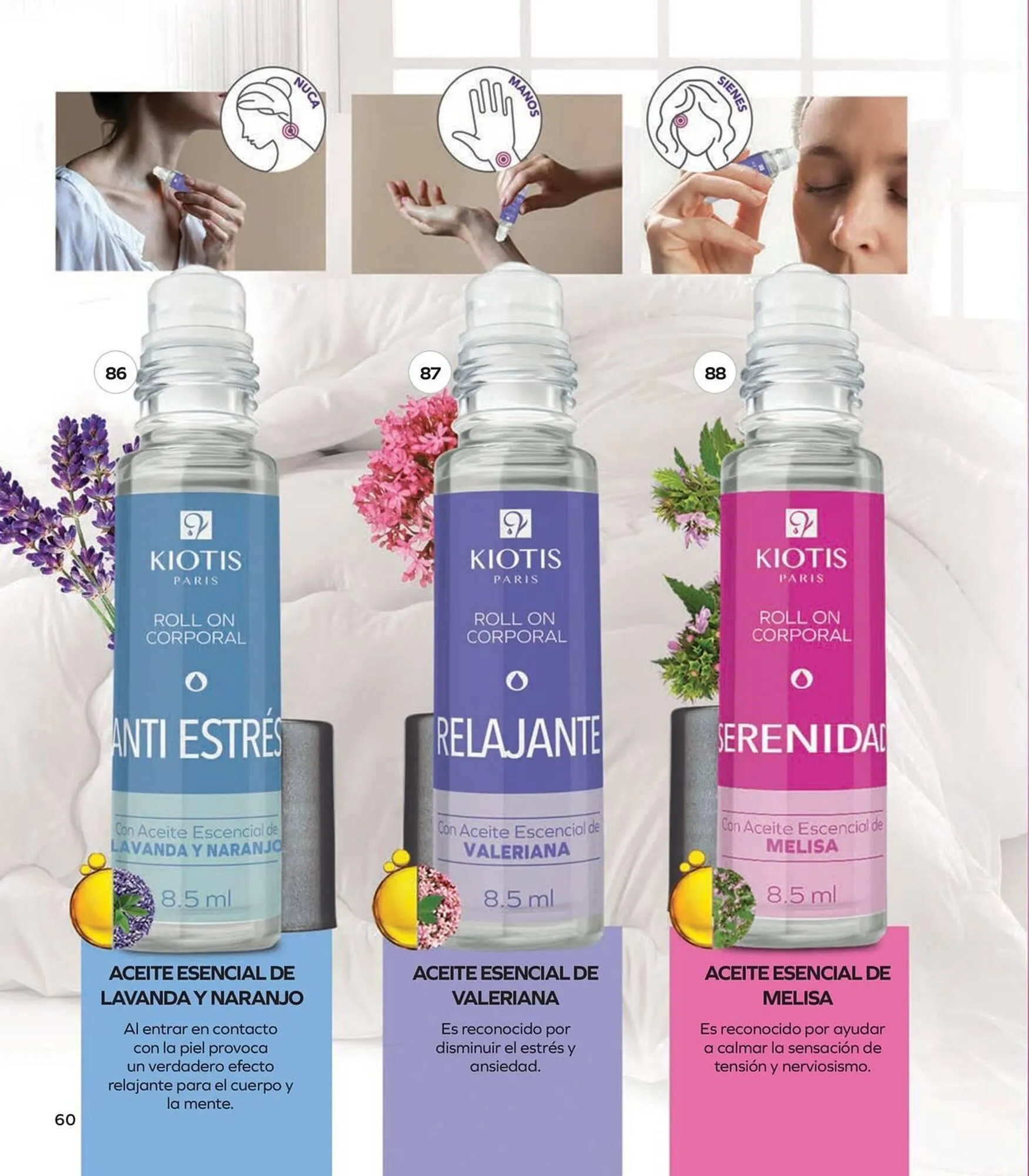 Catálogo de Catálogo Stanhome 3 de marzo al 20 de marzo 2026 - Pagina 64