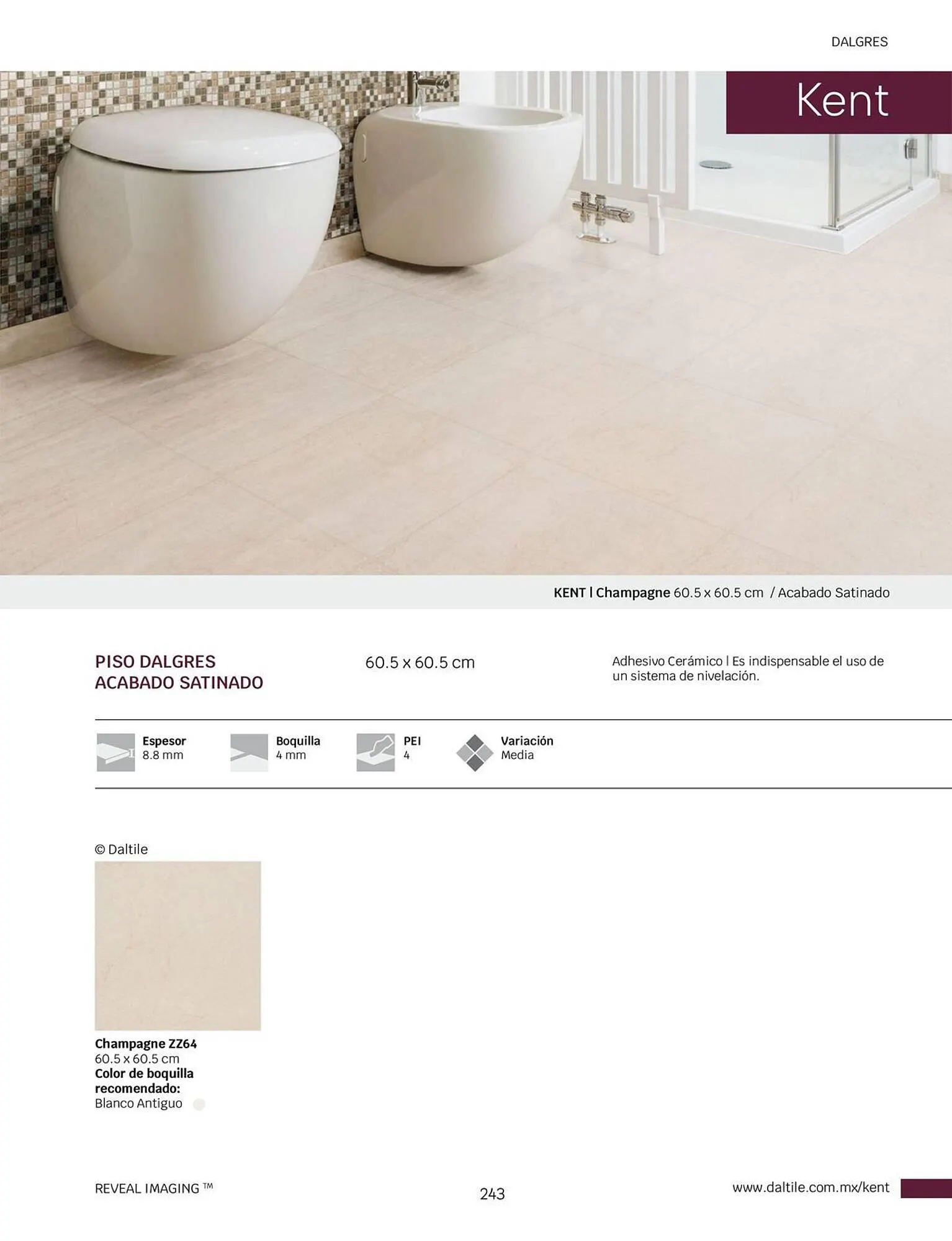 Catálogo de Catálogo Daltile 1 de enero al 31 de diciembre 2024 - Pagina 243