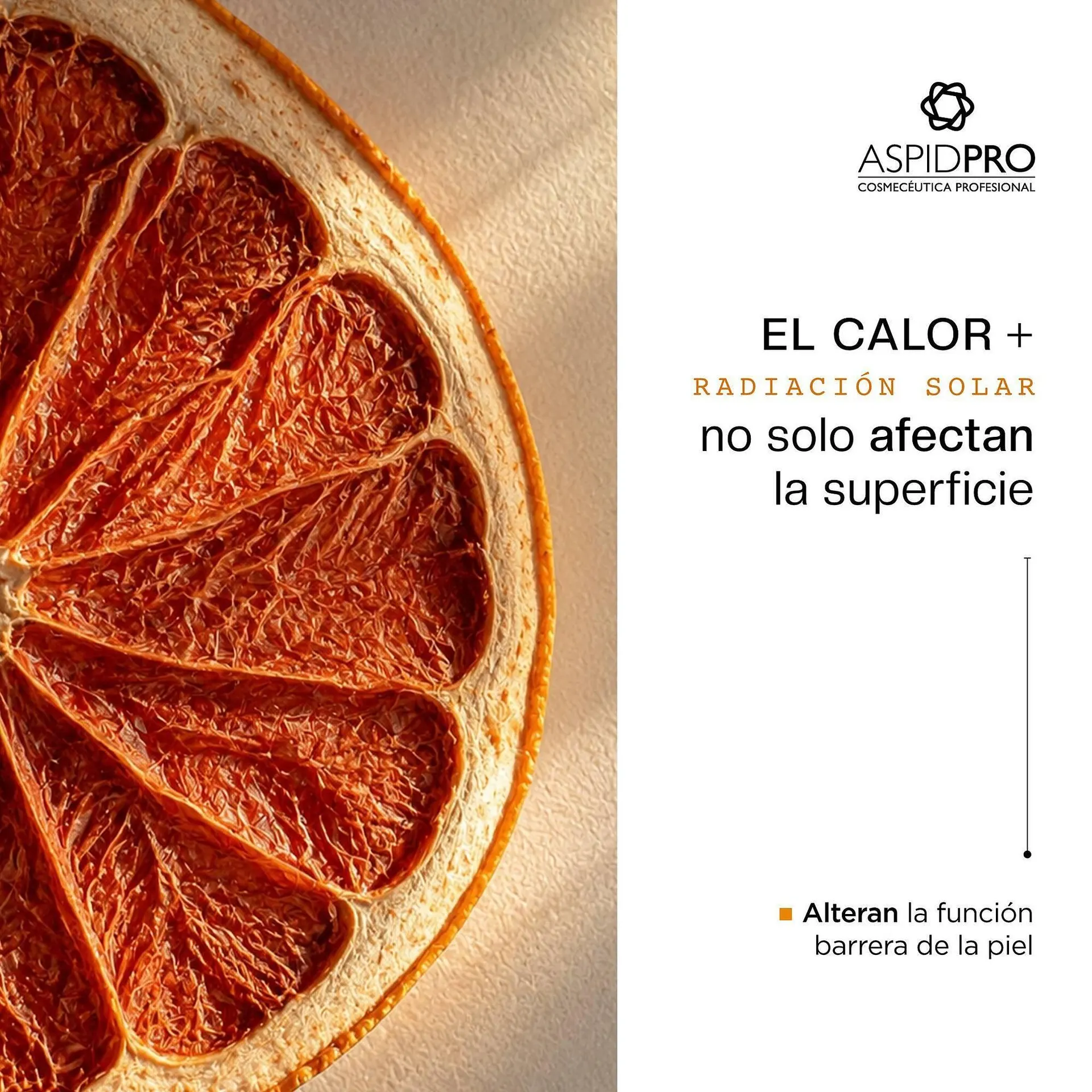 Catálogo de Catálogo AspidPro 13 de mayo al 18 de mayo 2026 - Pagina 2