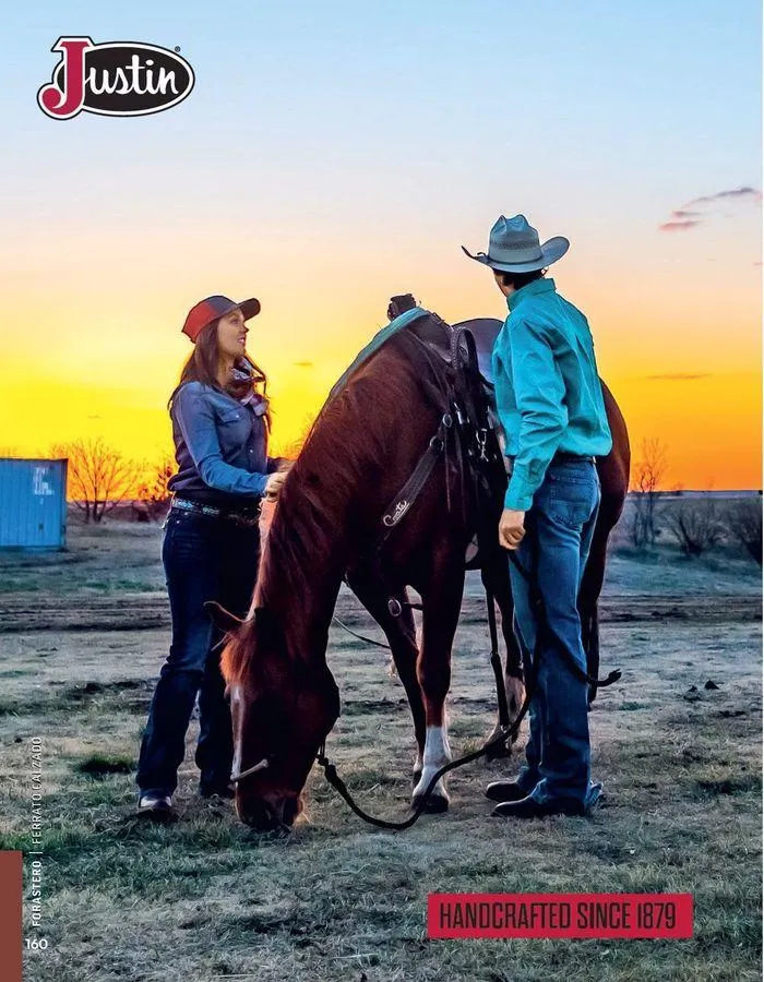 Catálogo de ANDREA - CALZADO CABALLERO 26 de agosto al 25 de enero 2025 - Pagina 66