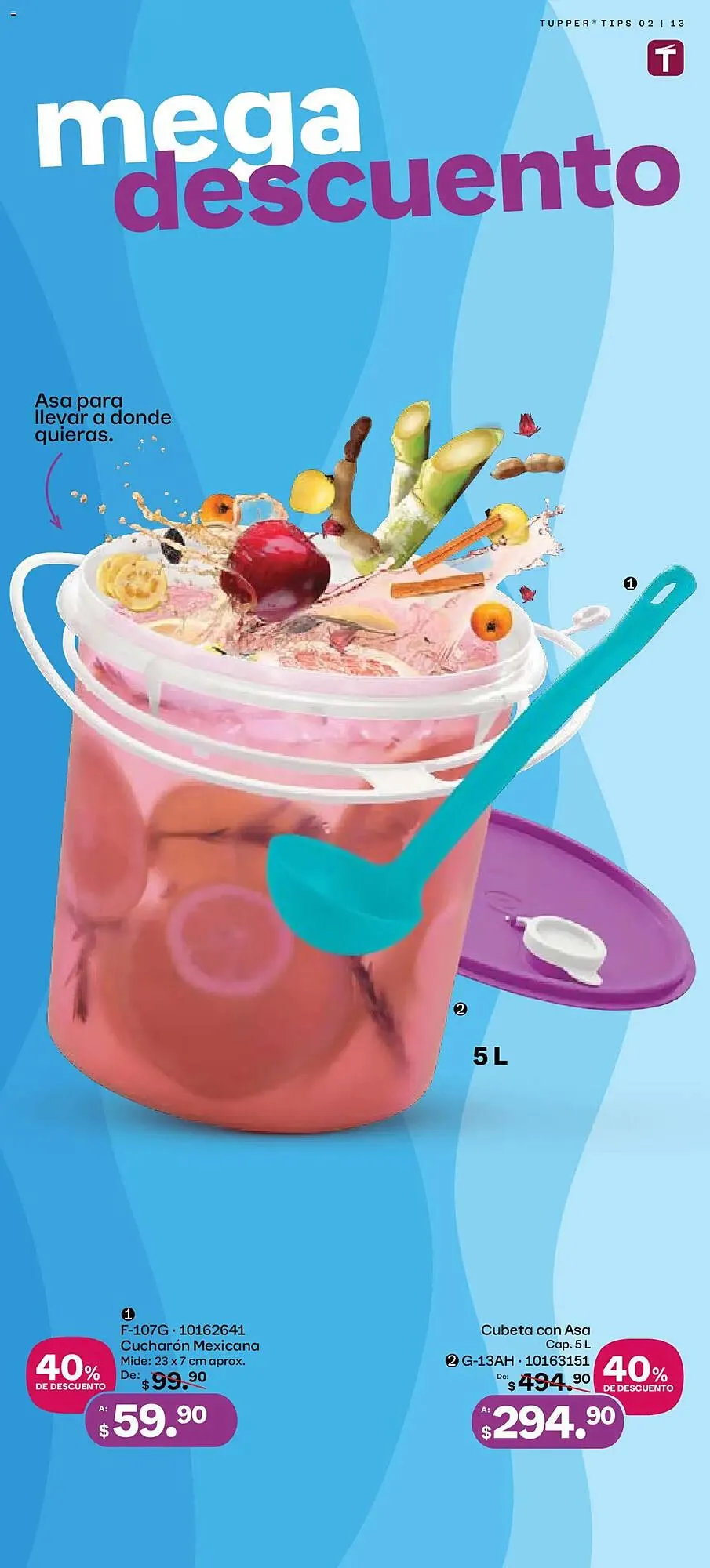 Catálogo de Catálogo Tupperware 27 de enero al 23 de febrero 2025 - Pagina 13