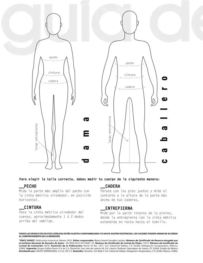 Catálogo de BASICOS | PRI-VER | 2025 | 1E 27 de enero al 30 de septiembre 2025 - Pagina 110