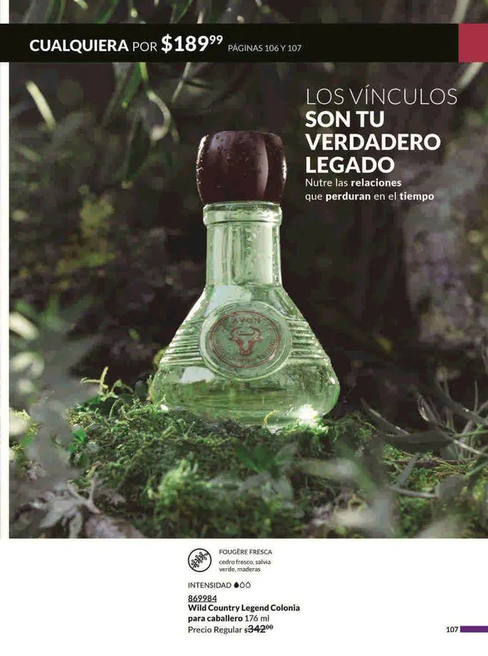 Catálogo de Avon COSMÉTICOS C15 14 de agosto al 18 de septiembre 2024 - Pagina 107