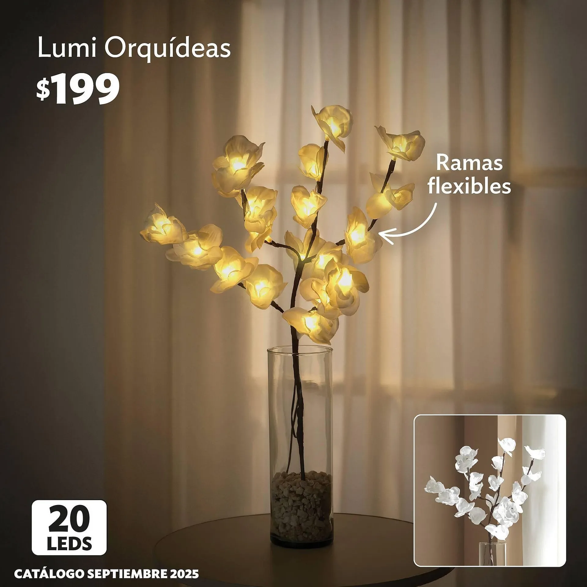 Catálogo de Catálogo BetterWare 9 de septiembre al 30 de septiembre 2025 - Pagina 3