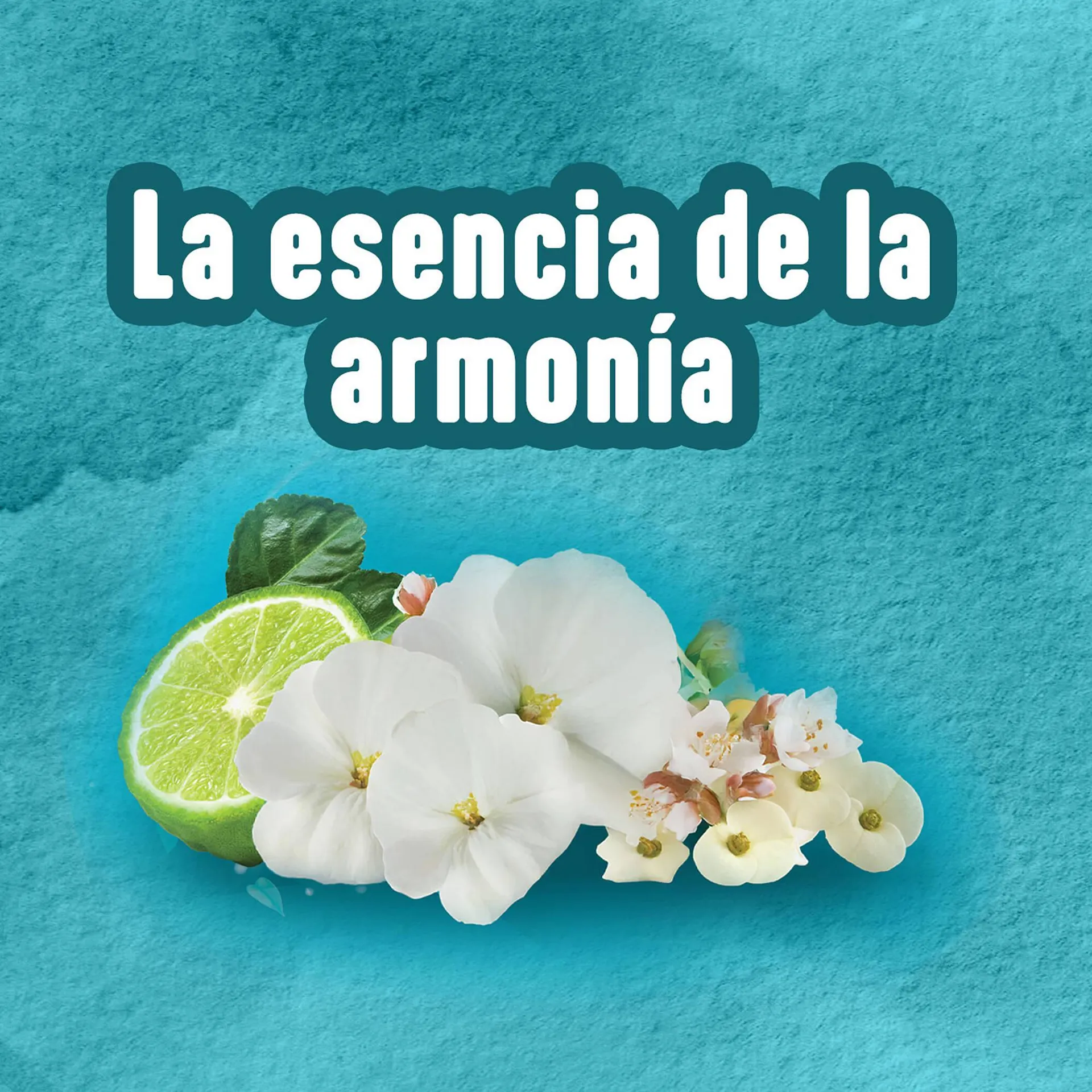 Catálogo de Catálogo BetterWare 3 de julio al 5 de julio 2025 - Pagina 1