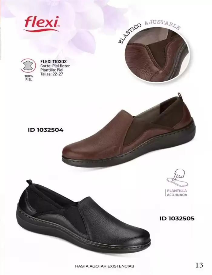 Catálogo de FLEXI | ACO | 2025 | 1E 1 de abril al 30 de abril 2025 - Pagina 13