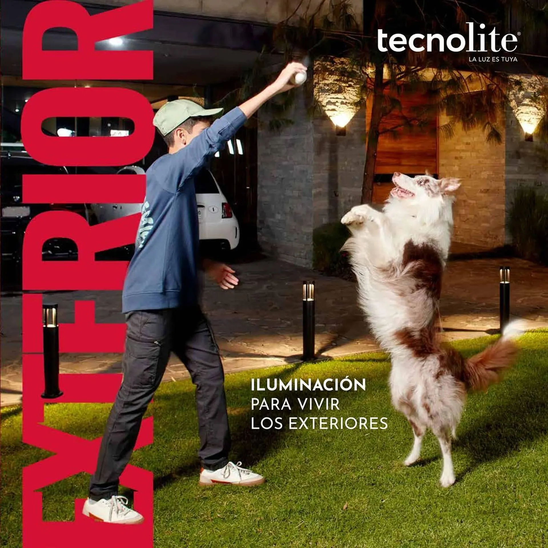 Catálogo de Catálogo Tecnolite 27 de junio al 31 de diciembre 2025 - Pagina 2