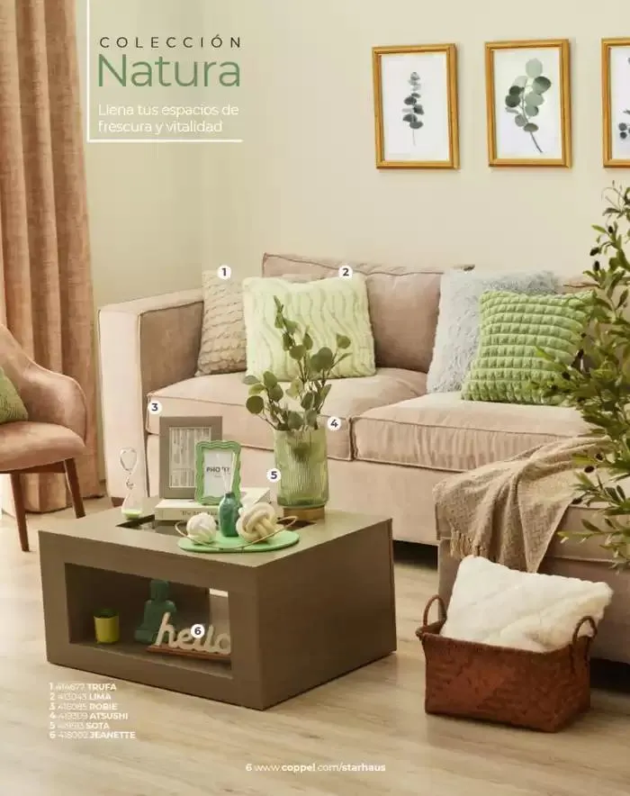 Catálogo de REVISTA MARZO REVISTA STARHAUS 4 de marzo al 31 de agosto 2025 - Pagina 6