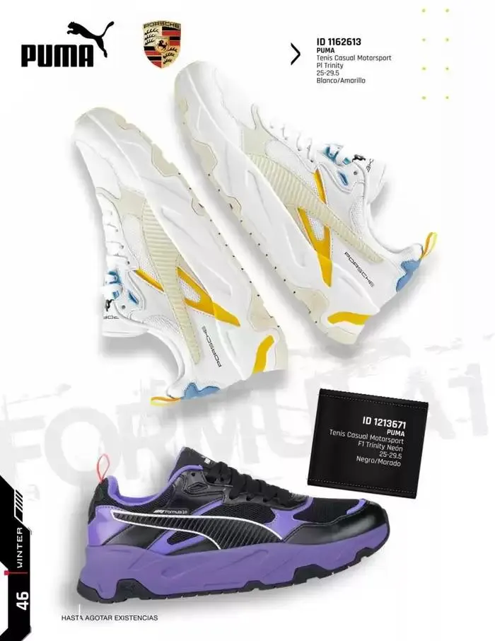 Catálogo de IMPORTADOS WINTER 11 de noviembre al 31 de enero 2025 - Pagina 46