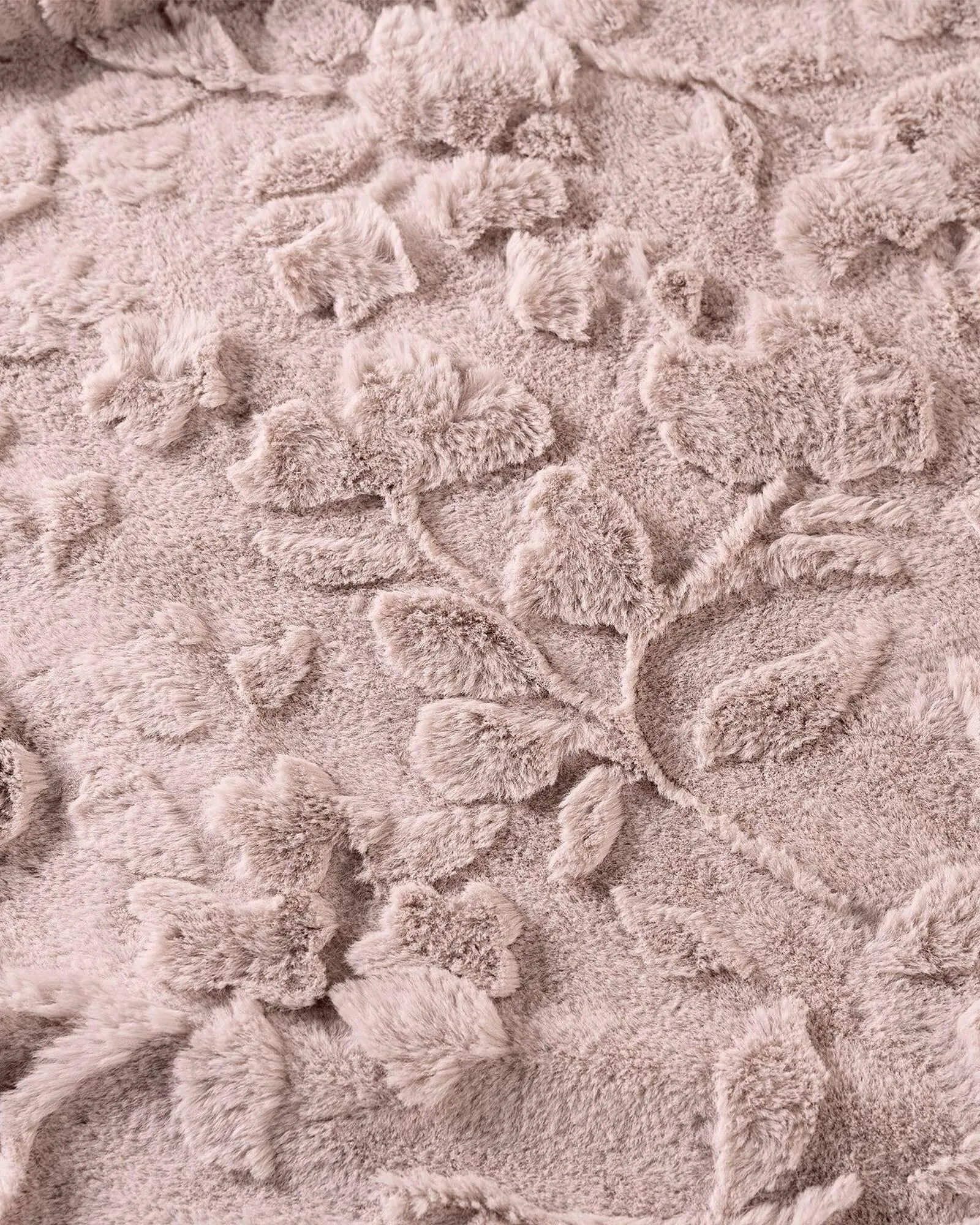 Catálogo de Catálogo Vianney 13 de enero al 26 de enero 2026 - Pagina 2