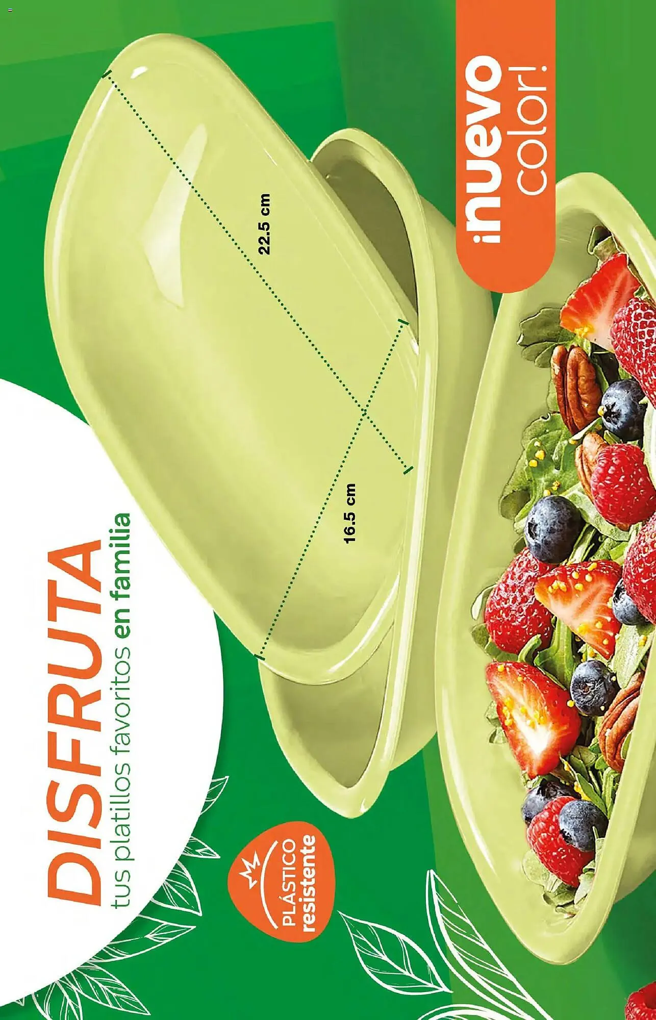 Catálogo de Catálogo Fuller 18 de febrero al 11 de marzo 2026 - Pagina 204