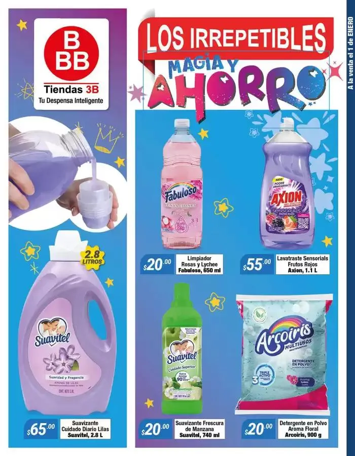 Catálogo de Volante Temporal Enero 7 de enero al 31 de enero 2025 - Pagina 1