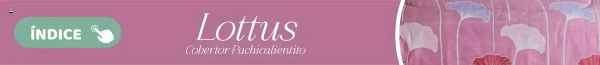 Catálogo de Catálogo Colchas Concord 1 de agosto al 1 de noviembre 2025 - Pagina 721