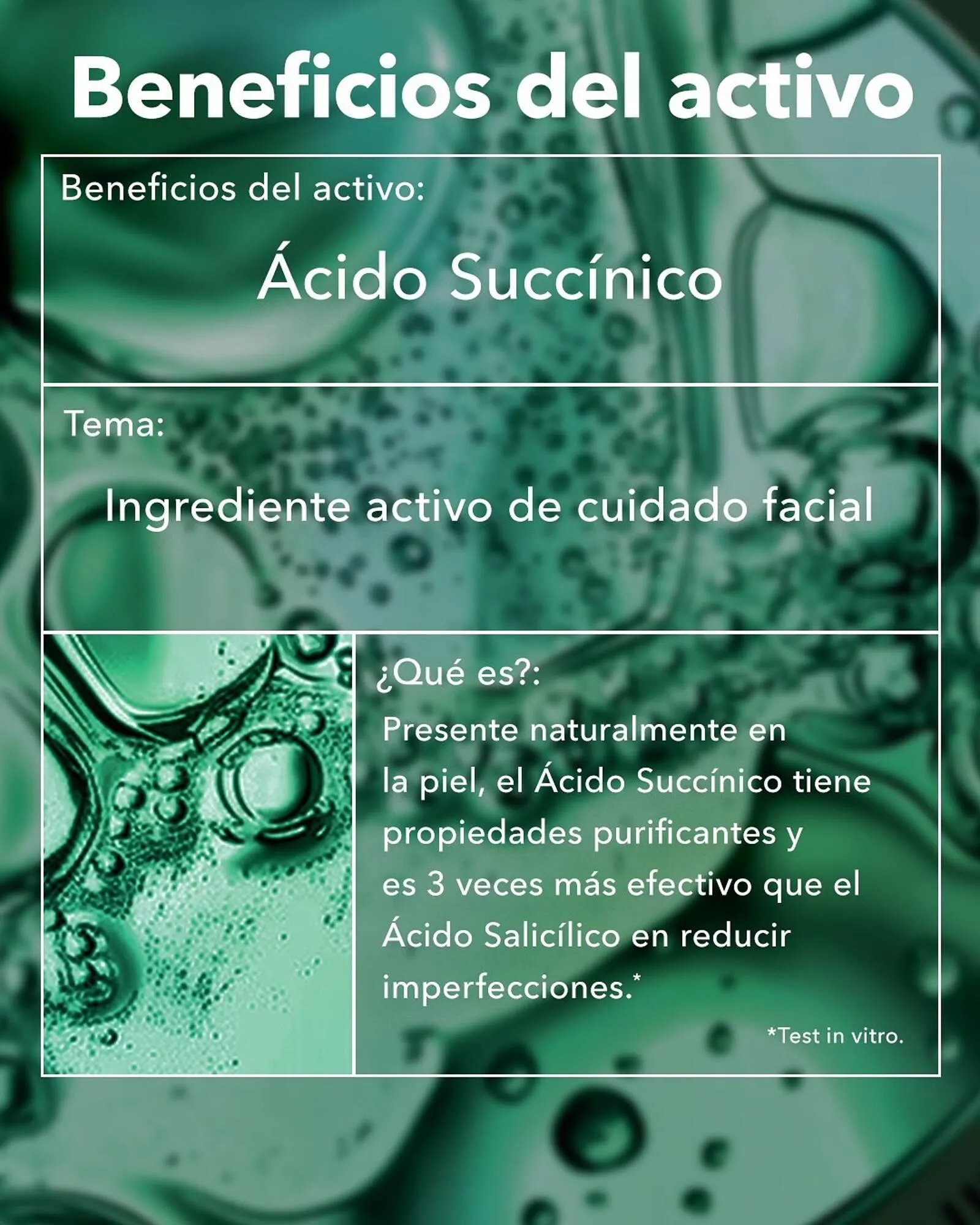 Catálogo Yves Rocher - 1