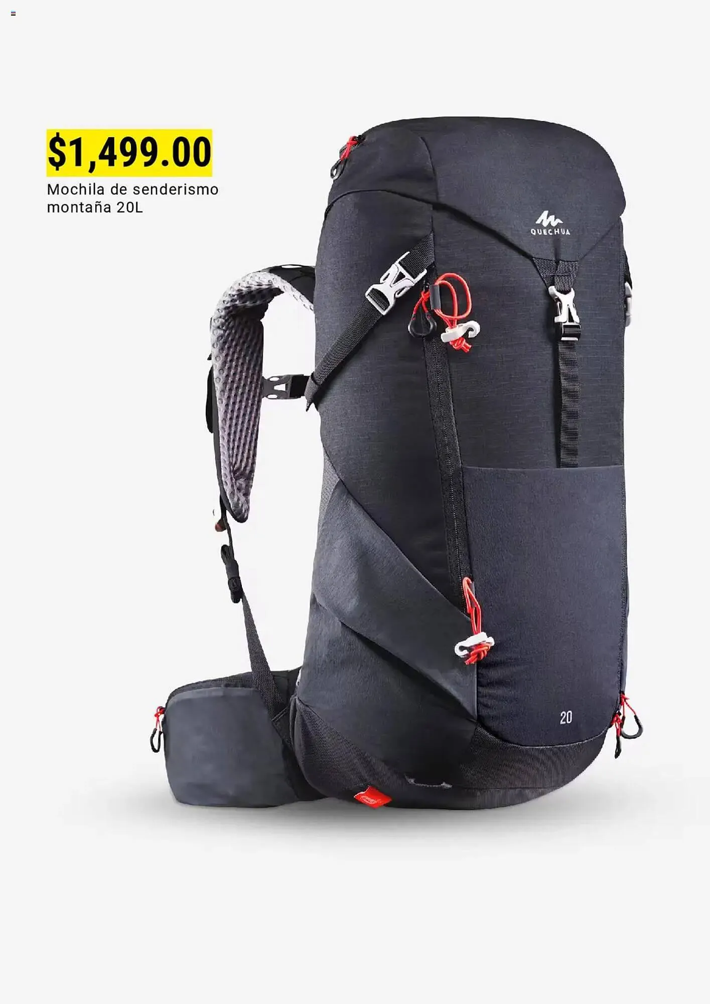 Catálogo de Catálogo Decathlon 1 de mayo al 31 de mayo 2025 - Pagina 12