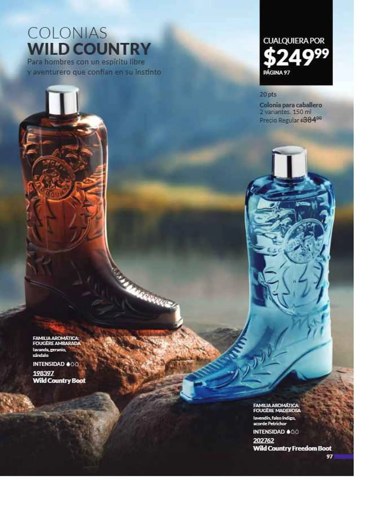 Catálogo de Catálogo Avon 16 de julio al 31 de diciembre 2025 - Pagina 102