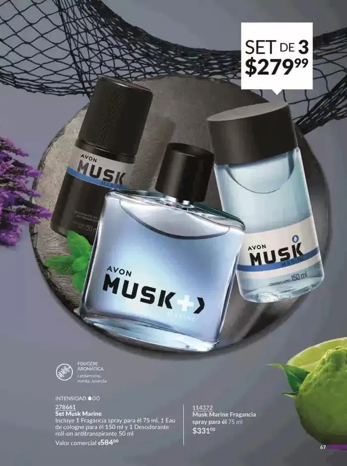 Catálogo de Avon COSMÉTICOS C2 3 de enero al 3 de febrero 2025 - Pagina 67