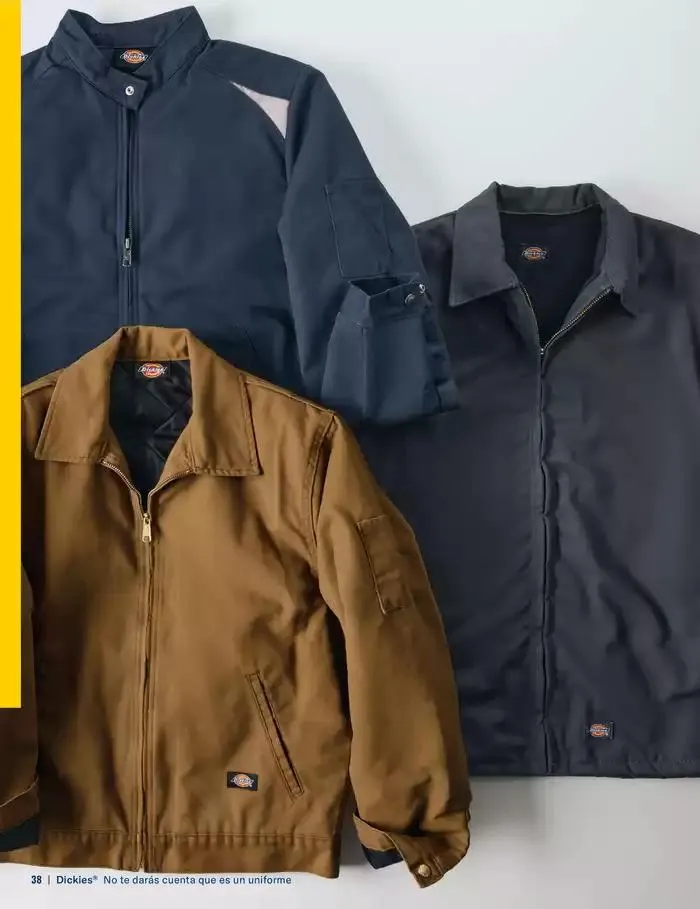 Catálogo de B2B Dickies Catalog 23 de octubre al 30 de abril 2025 - Pagina 38