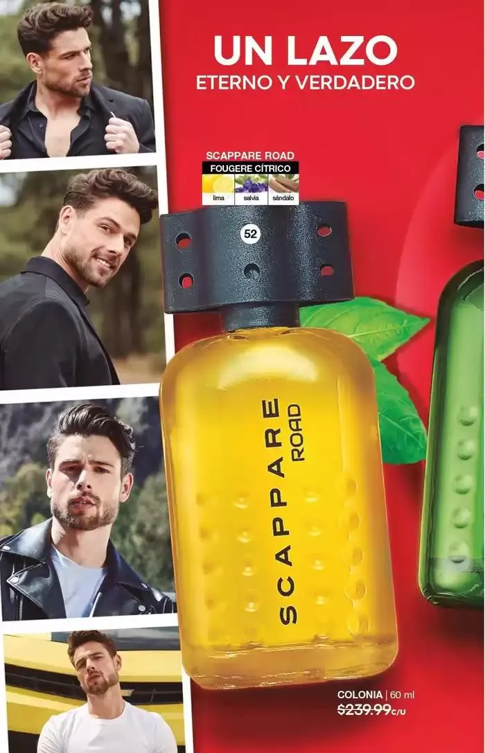 Catálogo de Fuller CAMPAÑA 19 27 de diciembre al 14 de enero 2025 - Pagina 67