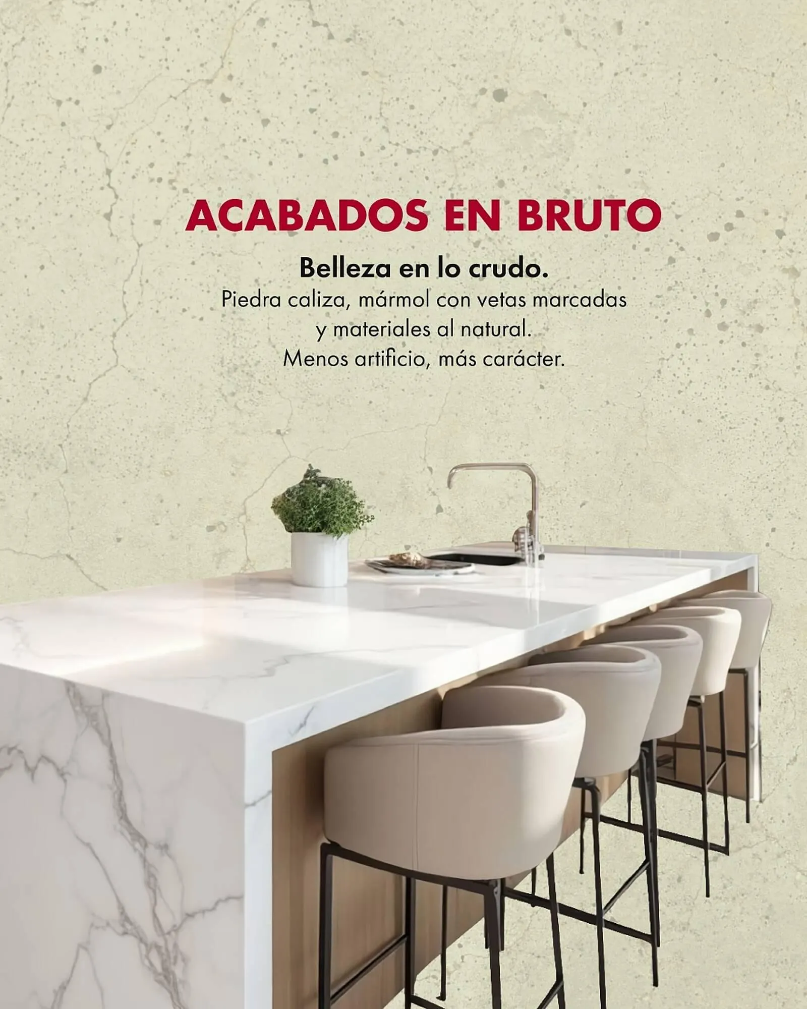 Catálogo de Catálogo Llano de la Torre 30 de julio al 31 de agosto 2025 - Pagina 4