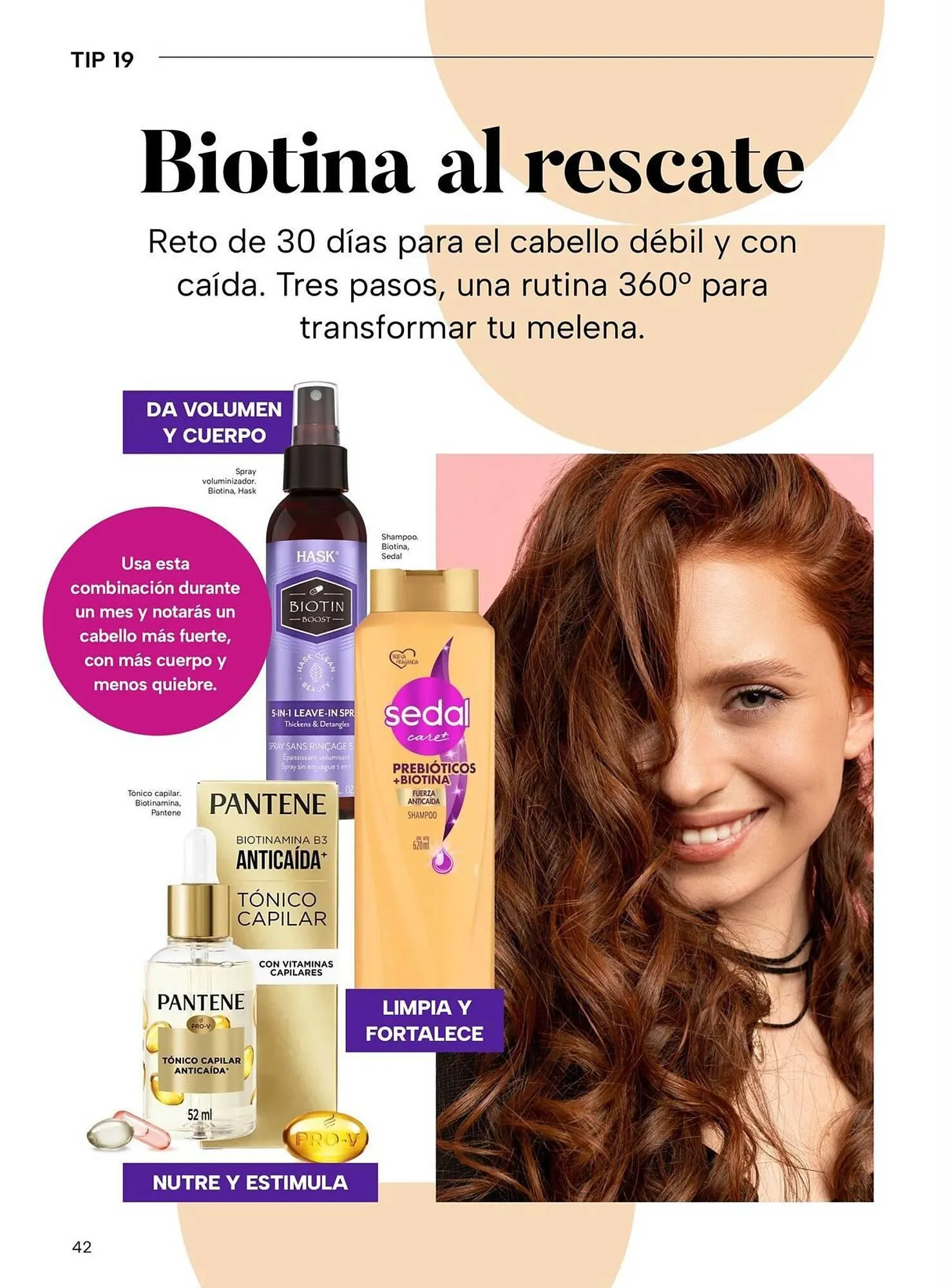 Catálogo de Folleto Chedraui 5 de noviembre al 31 de diciembre 2025 - Pagina 42