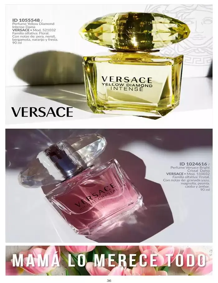 Catálogo de ESPECIAL MAMA |DIG | 2025 | 1E 23 de abril al 31 de mayo 2025 - Pagina 36