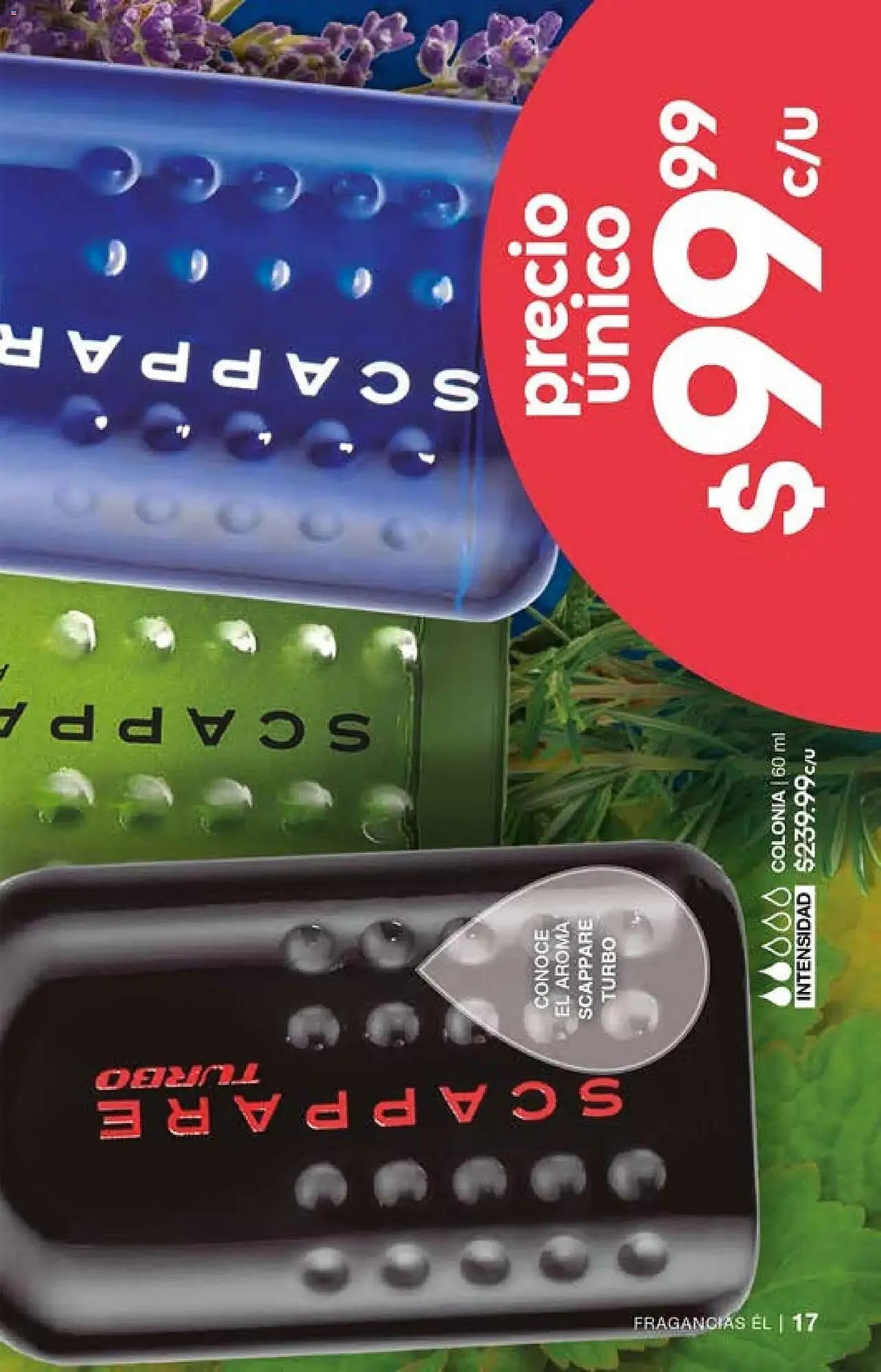 Catálogo de Catálogo Fuller 29 de abril al 20 de mayo 2026 - Pagina 17