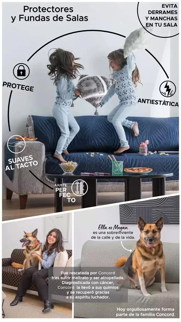 Catálogo de Catálogo Invierno 2 de octubre al 31 de diciembre 2024 - Pagina 235