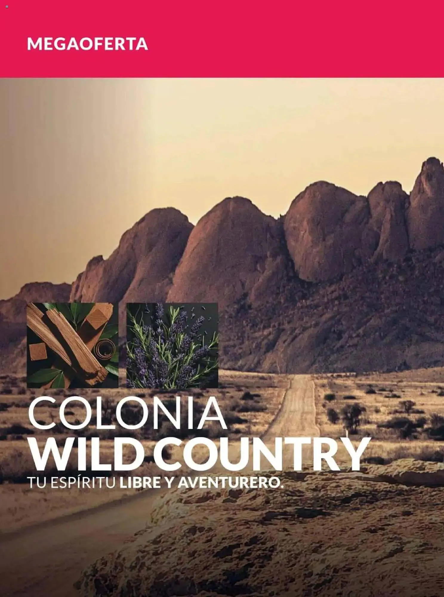 Catálogo de Catálogo Avon 26 de febrero al 23 de abril 2026 - Pagina 114