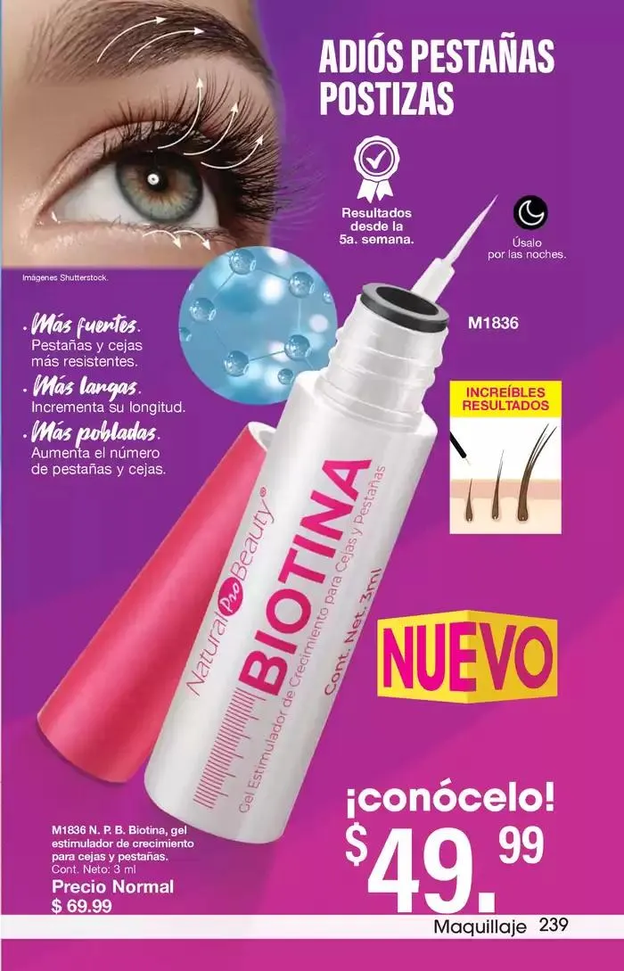 Catálogo de Arabela Campaña 21 16 de septiembre al 3 de octubre 2024 - Pagina 203