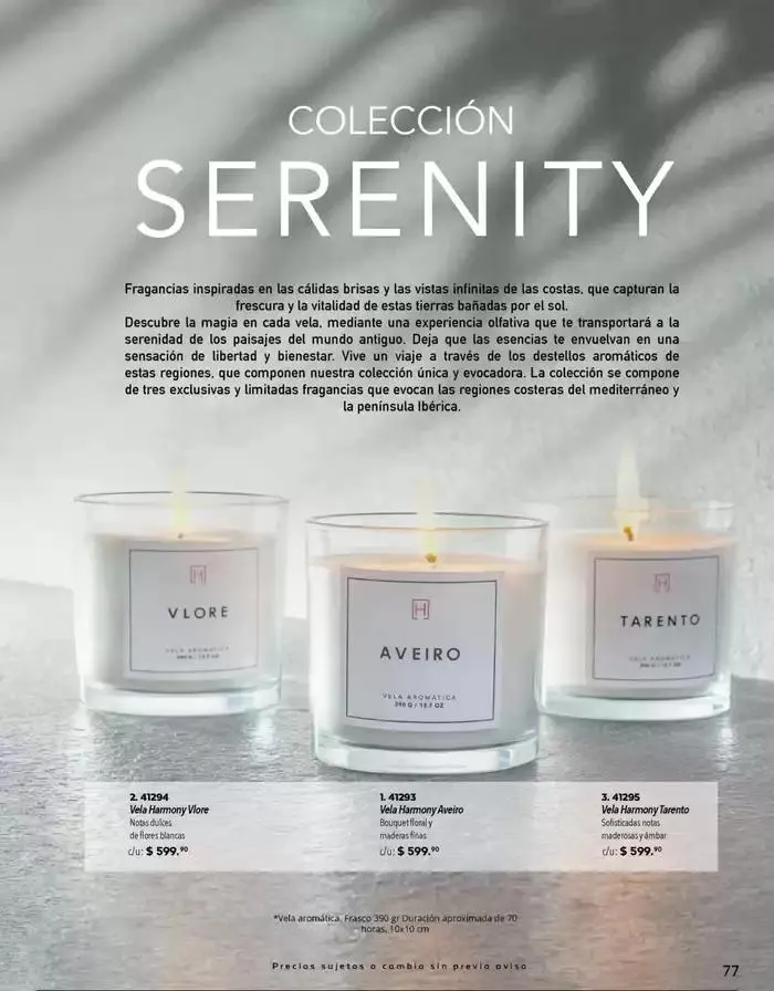 Catálogo de Colección Harvest 2024 8 de octubre al 31 de enero 2025 - Pagina 79