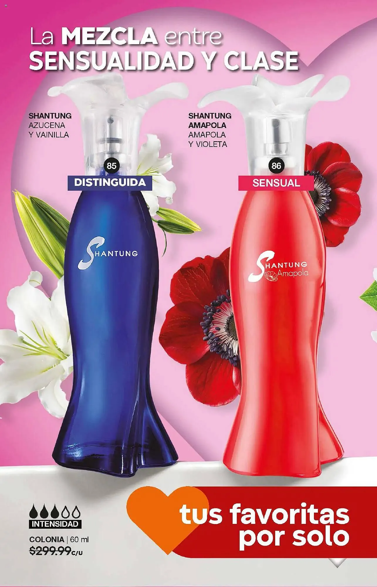 Catálogo de Catálogo Fuller 24 de diciembre al 14 de enero 2026 - Pagina 18