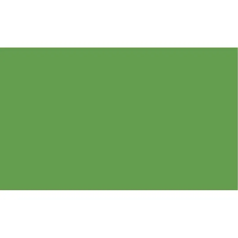 Cartulina Fluorescente de 66 x 48 cm Verde