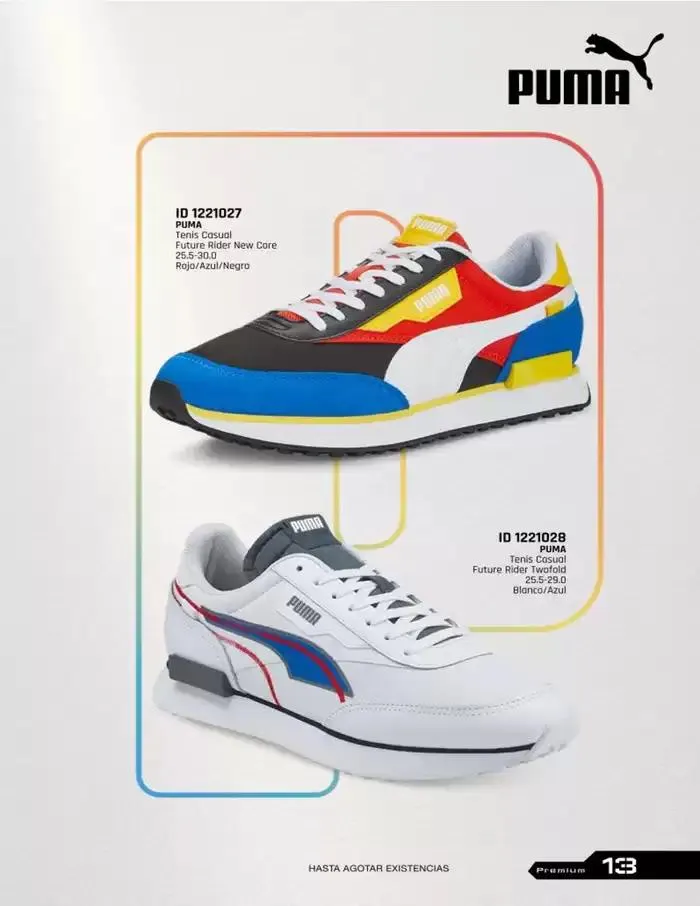 Catálogo de IMP PREMIUM  16 de diciembre al 16 de marzo 2025 - Pagina 13