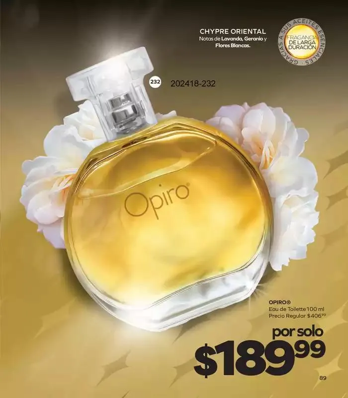 Catálogo de Stanhome - C18 26 de noviembre al 12 de diciembre 2024 - Pagina 93