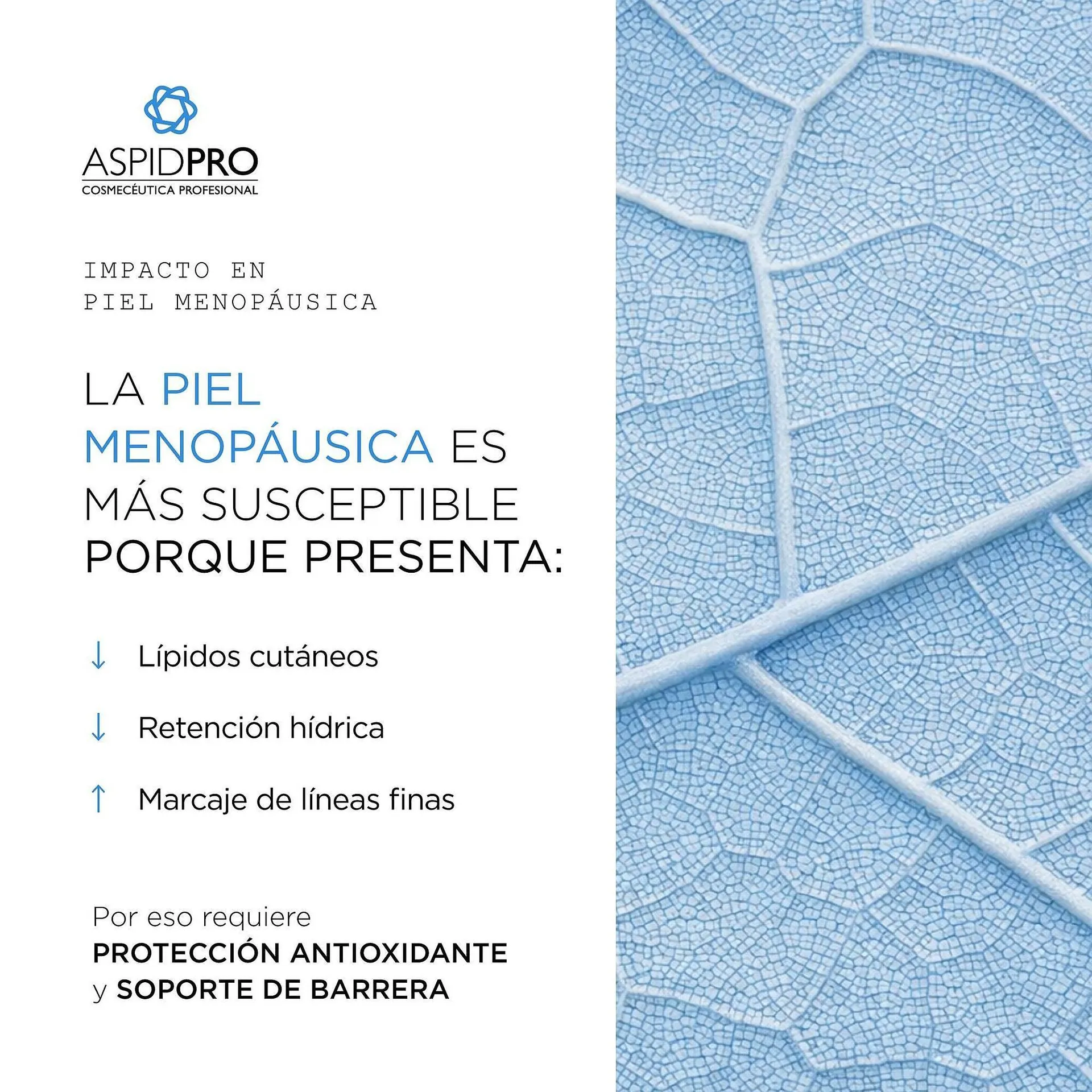 Catálogo de Catálogo AspidPro 30 de marzo al 5 de abril 2026 - Pagina 3