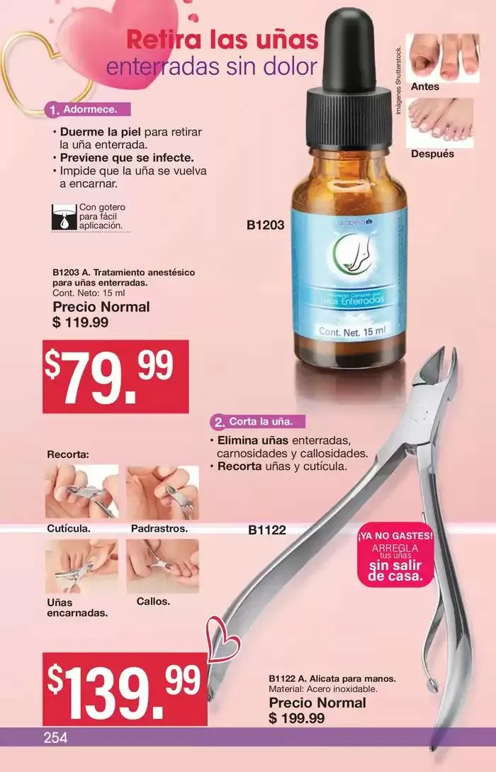 Catálogo de Arabela Campaña 03 10 de enero al 23 de enero 2025 - Pagina 220