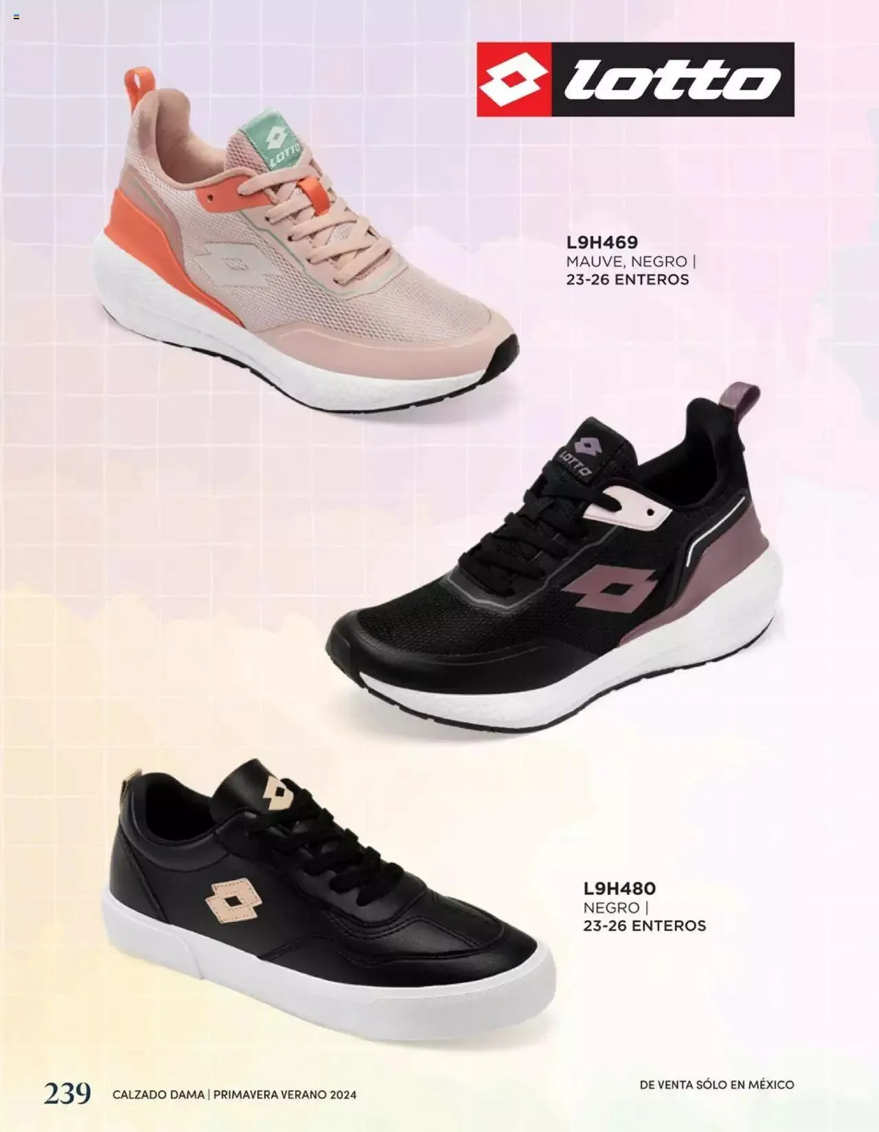 Catálogo de Mundo Terra catálogo 1 de enero al 31 de diciembre 2024 - Pagina 242