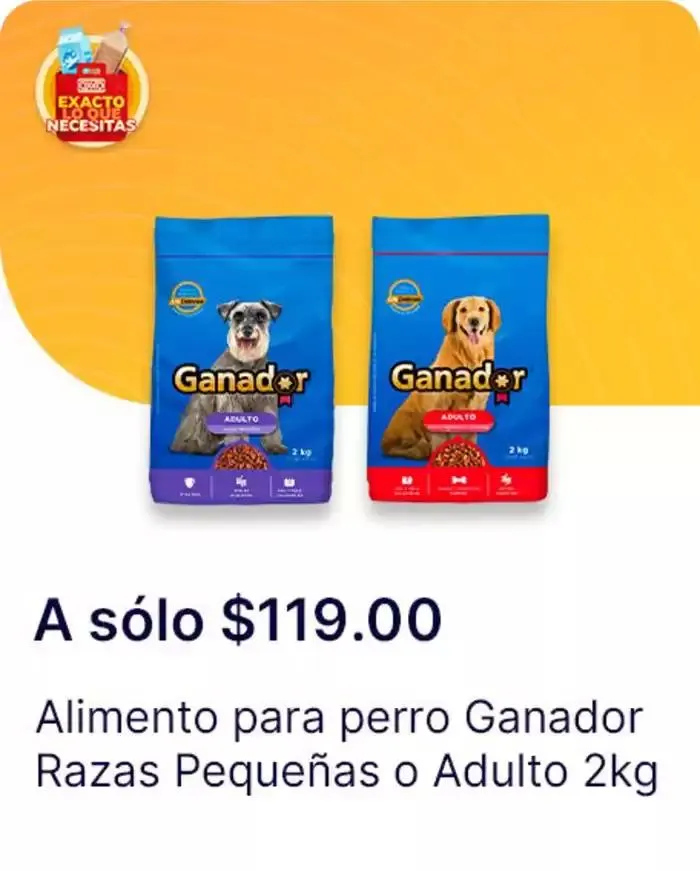 Catálogo de Exacto lo que necesitas 7 de enero al 22 de enero 2025 - Pagina 154