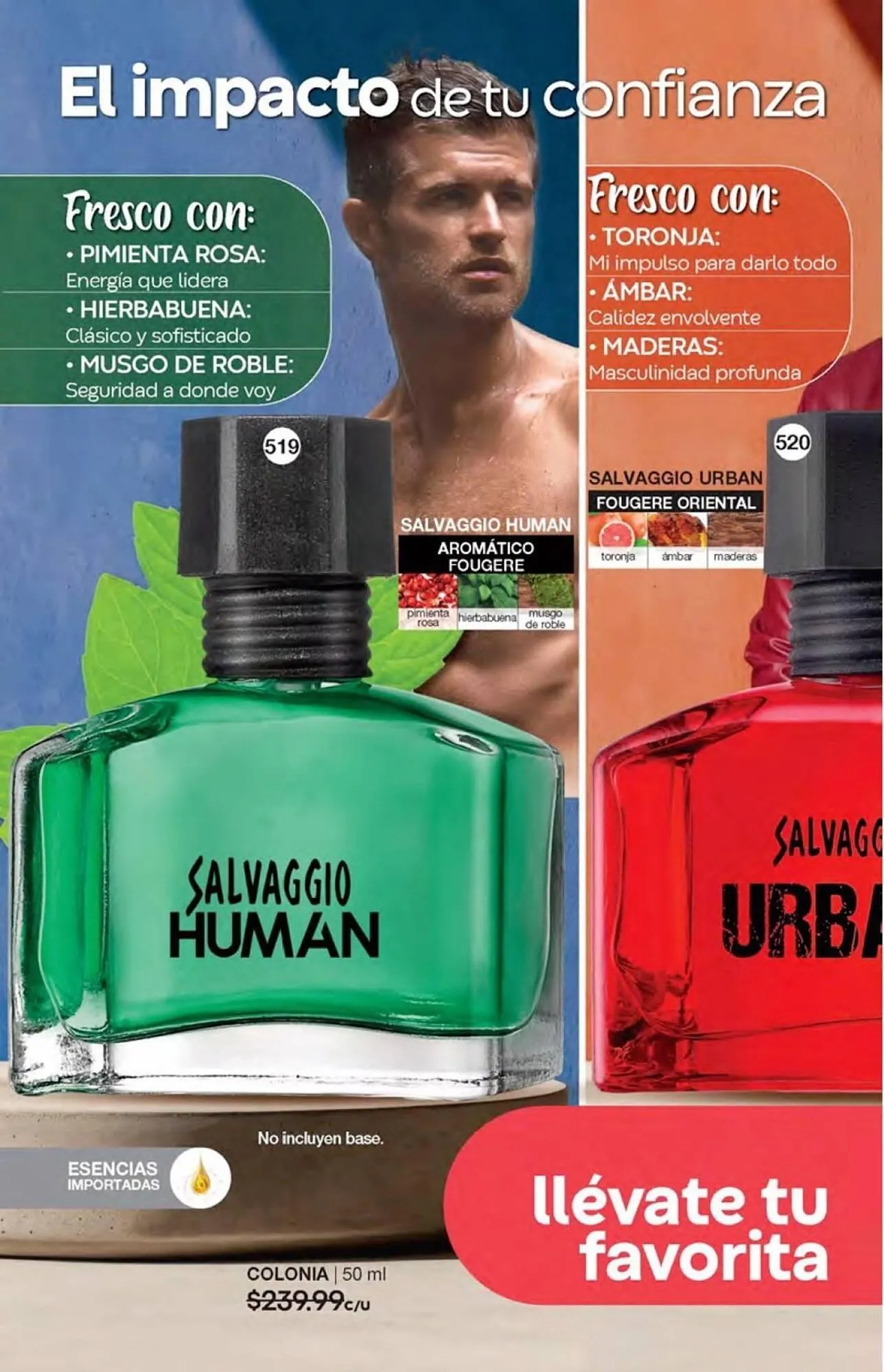 Catálogo de Catálogo Fuller 21 de agosto al 31 de octubre 2025 - Pagina 196